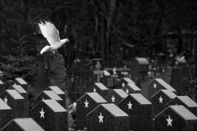 A white dove in flight above a memorial setting